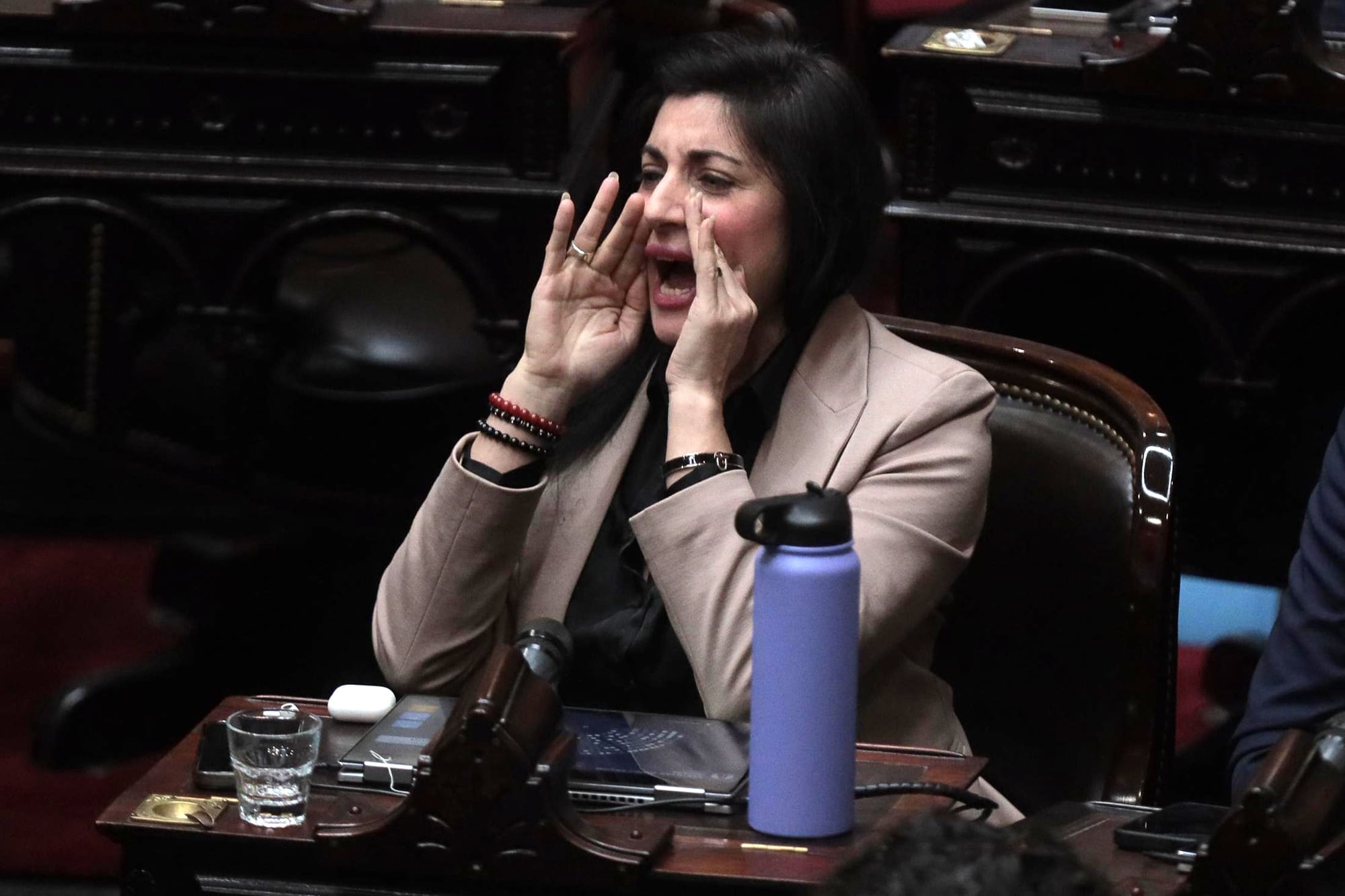 La diputada libertaria Juliana Santillán dijo que se reunió con el embajador de Checoslovaquia, país que se disolvió en 1992